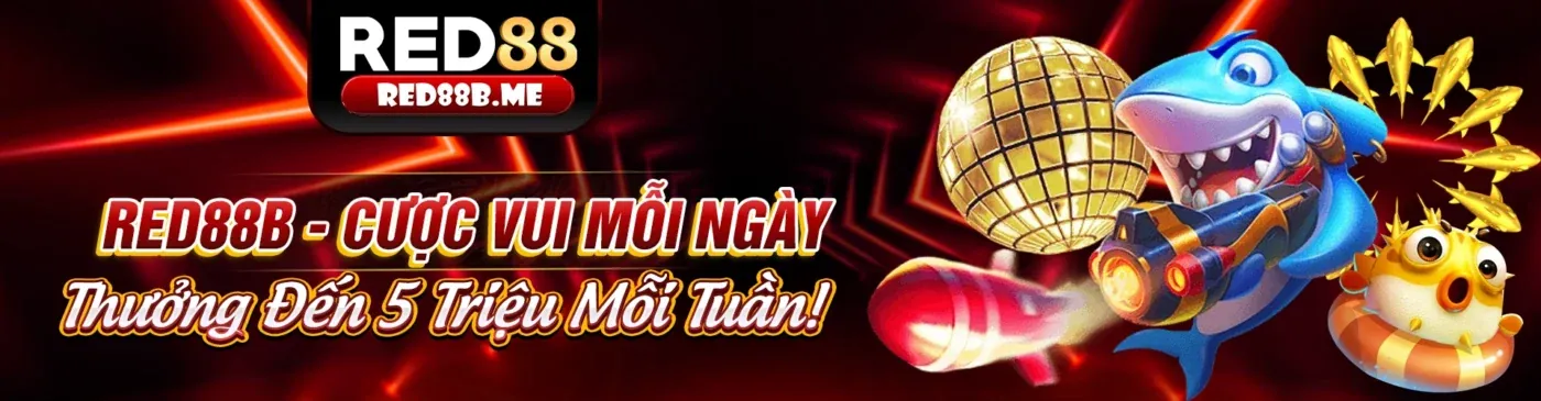 Bảo hiểm cược thua casino 50% tuần đầu tại 69vn vin